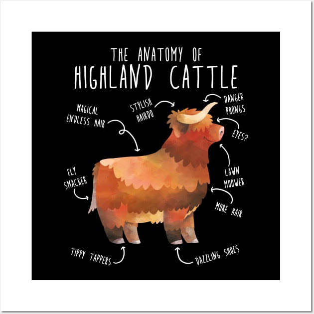 Highland Cow Anatomy Wall Art by Psitta